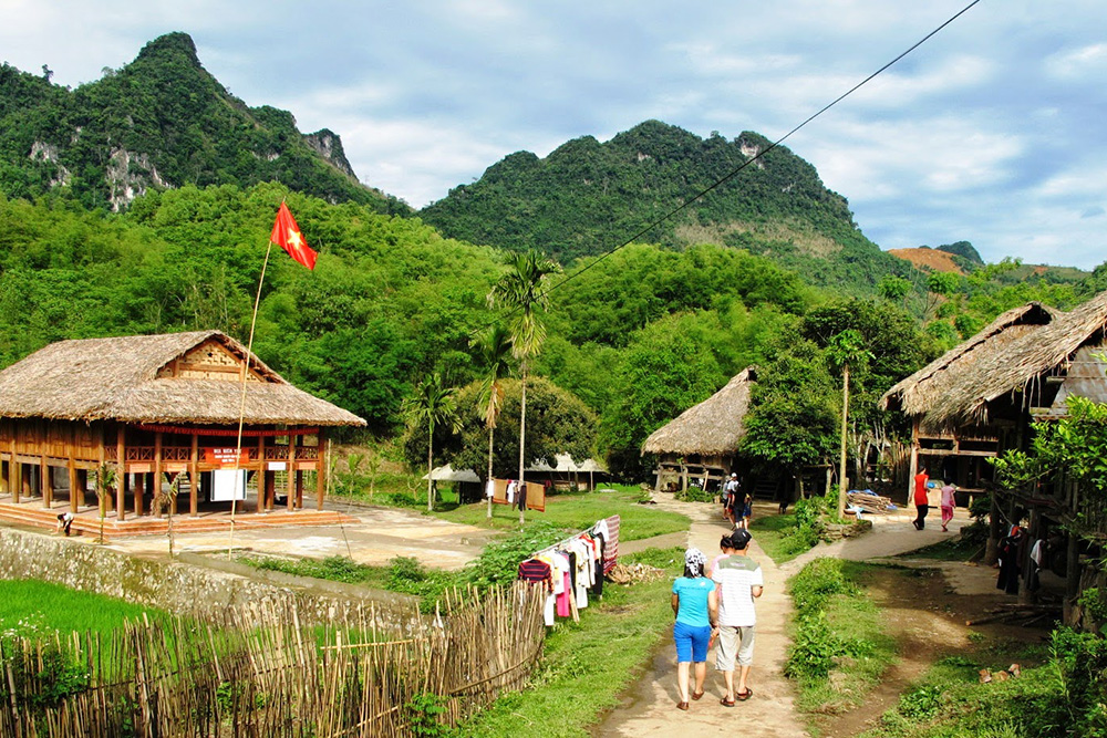 tour mai chau tet