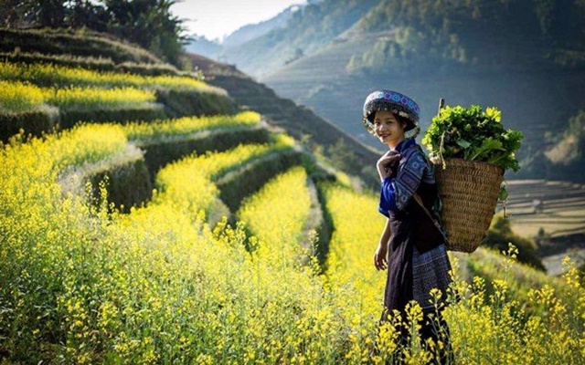 Kinh nghiệm du lịch Tây Bắc mùa thu, khám phá mùa vàng vùng núi cao