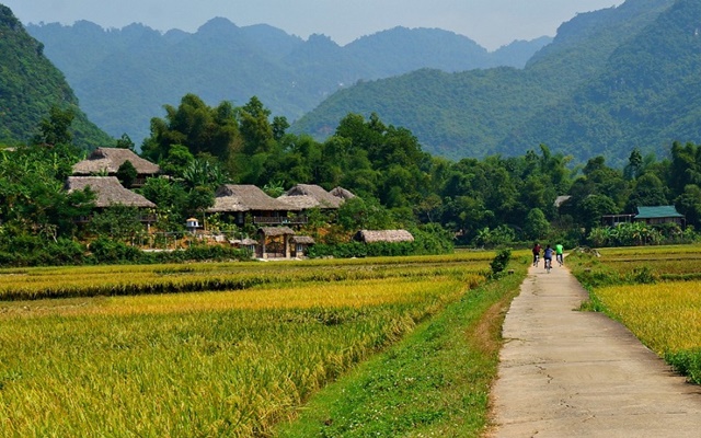 Tham khảo kinh nghiệm du lịch Mai Châu mùa thu cực hữu ích