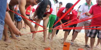 Tổ chức team building biển uy tín, chuyên nghiệp, giá tốt nhất