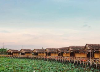 Bỏ túi ngay kinh nghiệm đi tour du lịch Cao Lãnh – Đồng Tháp cực chi tiết Bỏ túi ngay kinh nghiệm đi tour du lịch Cao Lãnh - Đồng Tháp cực chi tiết